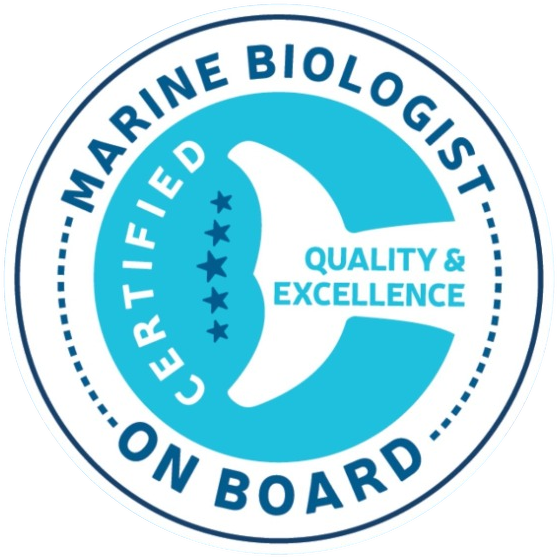 Sealife Dolphin Watching logo