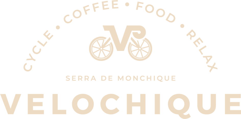 Velochique logo