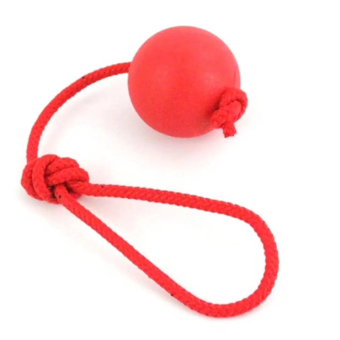 Rope dog toy with rubber ball, 6 cm