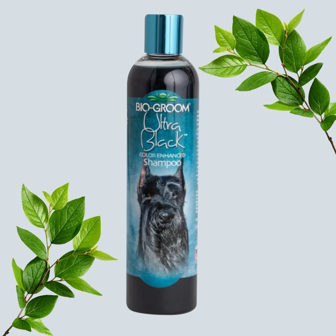 Bio-Groom Ultra Black dog shampoo, 355 ml