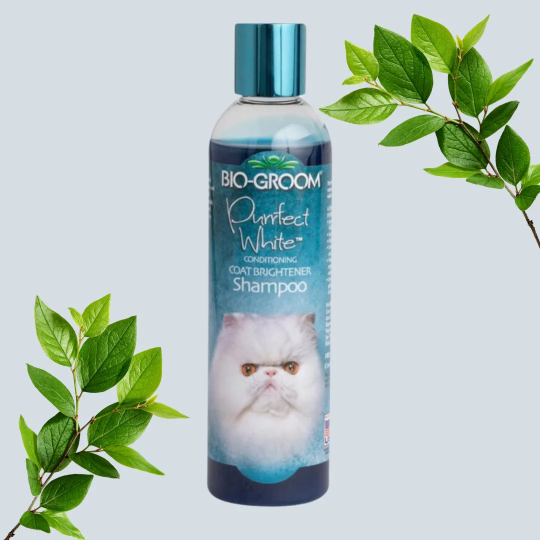 Bio-Groom Purrfect White conditioning cat shampoo, 236 ml