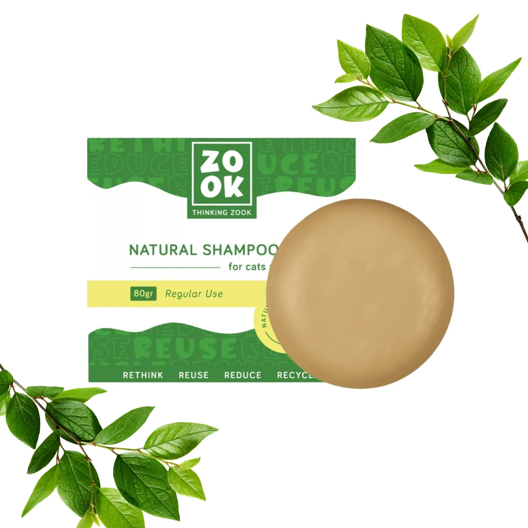 Zook solid shampoo for frequent use, 80 g