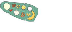 Mughal Clay Indian Restaurant logo